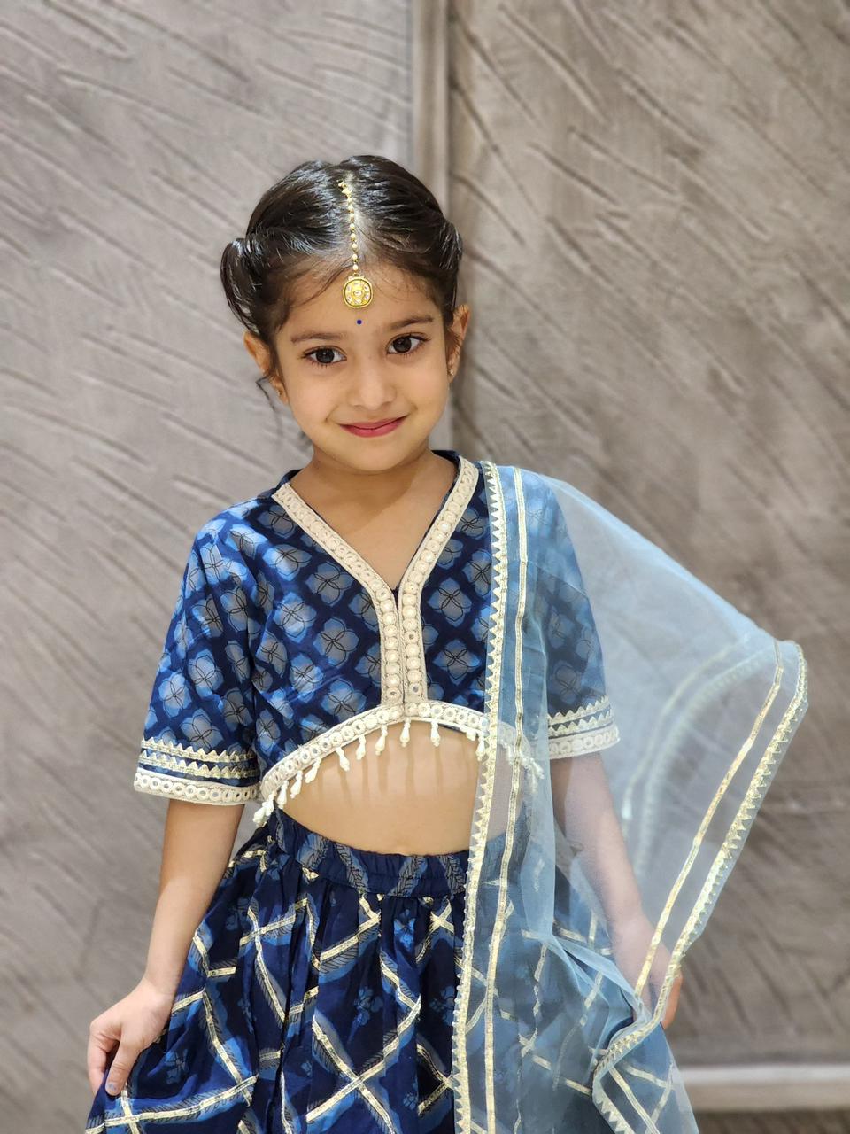 Jaal Butta Print Blue Coloured Lehnga Choli