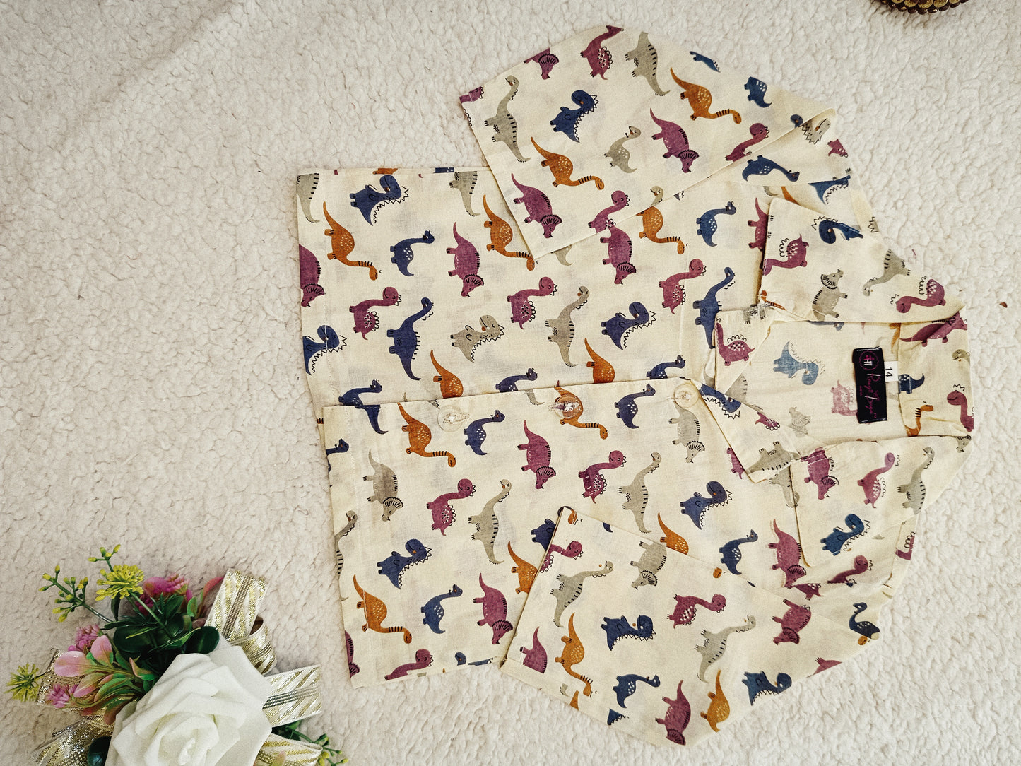 Multicolor Dinasour printed Night Suit