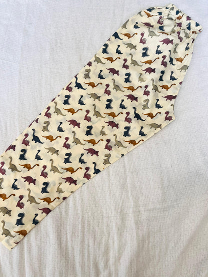Multicolor Dinasour printed Night Suit