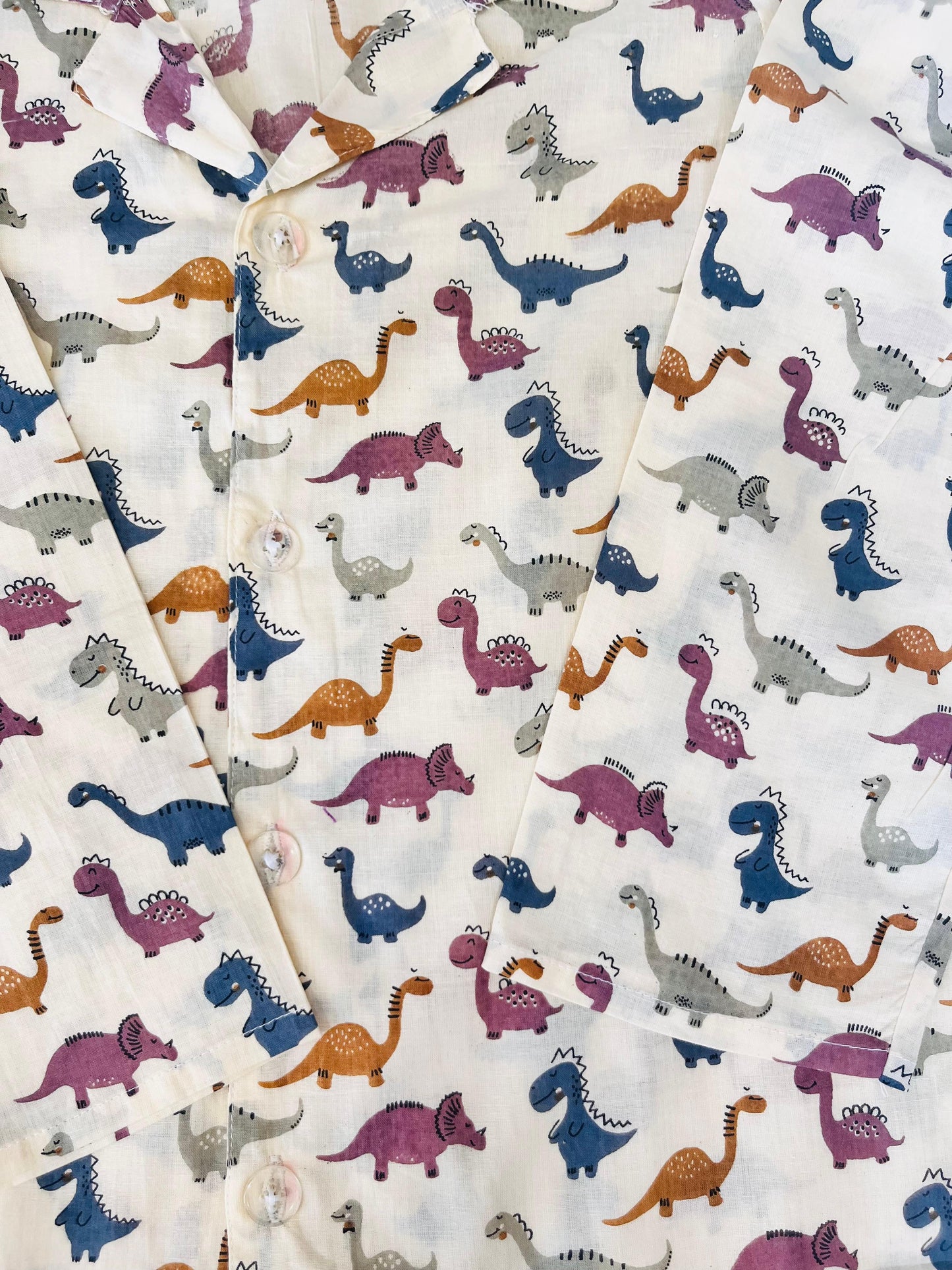 Multicolor Dinosour Printed Night Suit