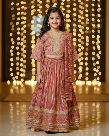 Ajrakh Print Onion Pink Colour lehenga Choli