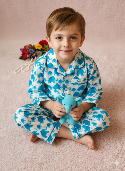 Elephant Print Blue Color Night suit