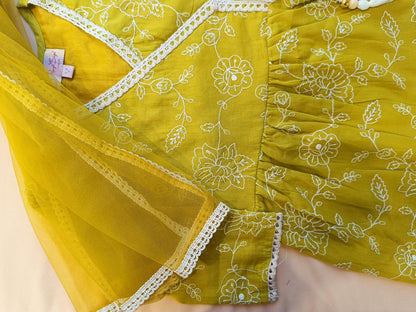 EmbroidedMul cotton Lime Greencoloured  flared kurti with embroided palazzo