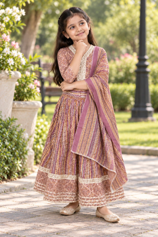 Ajrakh Print Onion Pink Colour lehenga Choli