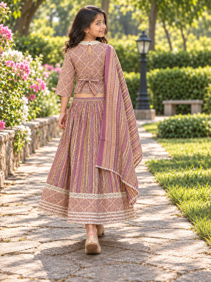Ajrakh Print Onion Pink Colour lehenga Choli