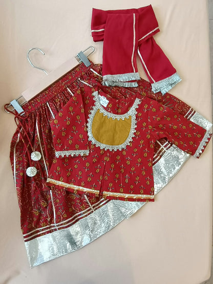 Red Mughal Boota, screen printed Lehnga Choli set