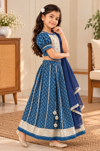 Blue Discharge Print Lehenga Choli set