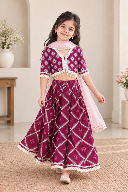 Jaal Buta Print wine Colour lehenga Choli