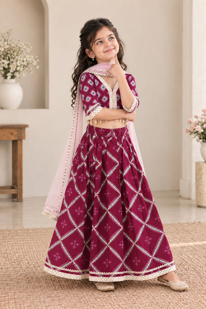 Jaal Buta Print wine Colour lehenga Choli