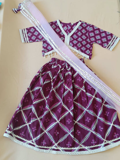 Jaal Buta Print wine Colour lehenga Choli