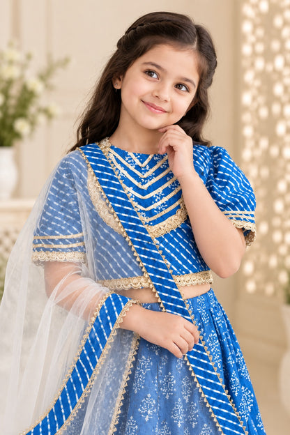 Block Print Blue Colour Lehenga Choli