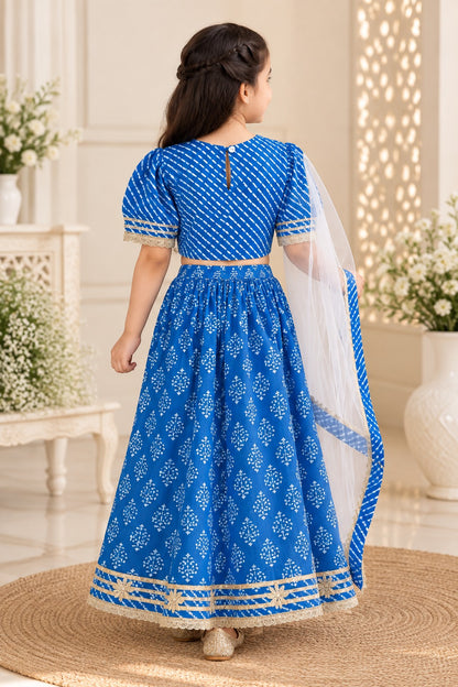 Block Print Blue Colour Lehenga Choli