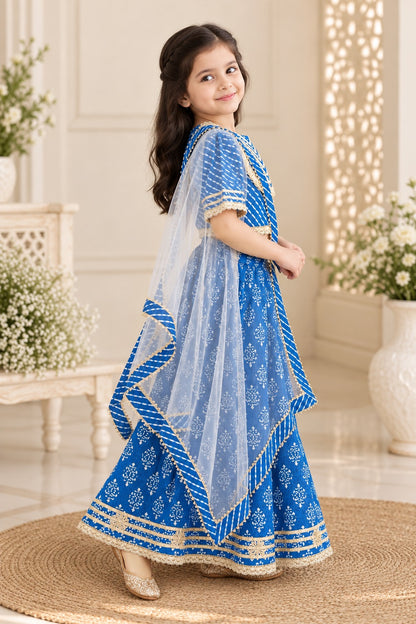 Block Print Blue Colour Lehenga Choli