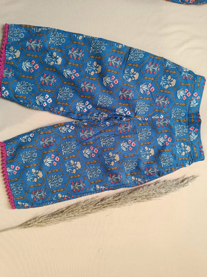 Navy Blue ColourMughal Boota, screen printed Girls Flare Suit Set